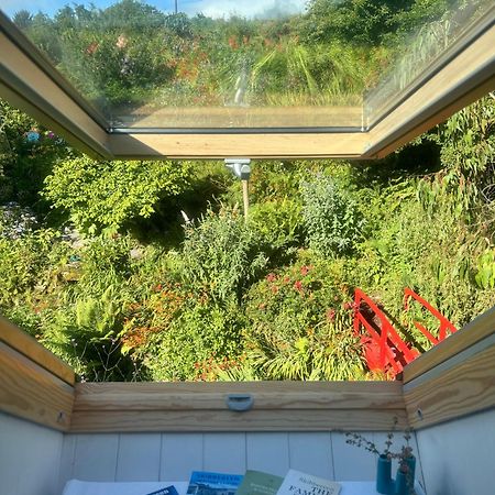 Streamside B And B With Parking Drimoleague Eksteriør bilde