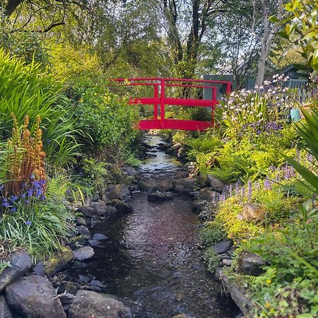 Streamside B And B With Parking Drimoleague Eksteriør bilde