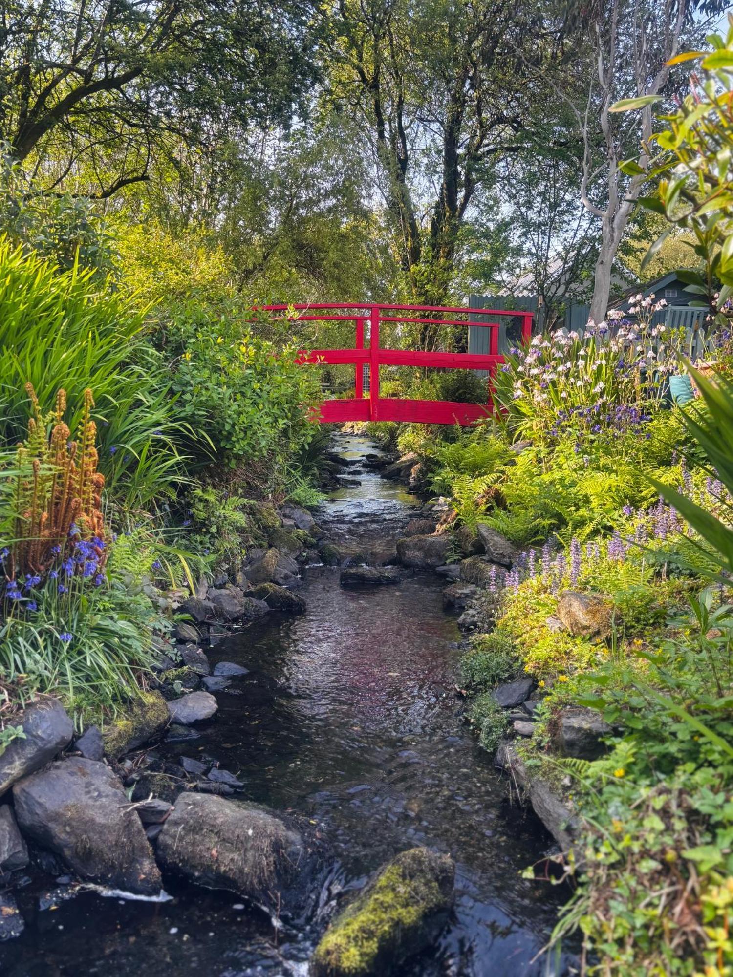 Streamside B And B With Parking Drimoleague Eksteriør bilde